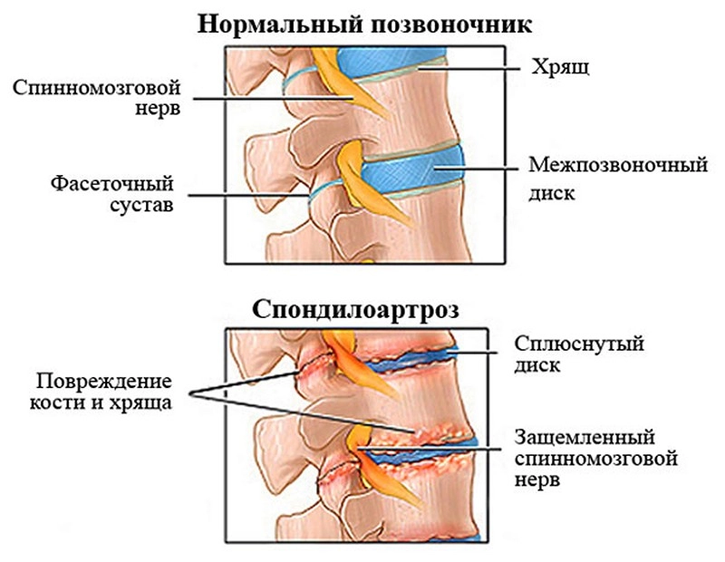6f58778539f842451840a0b64073d2d1.jpg