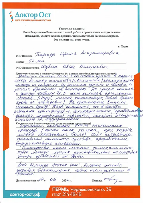 Гиоргадзе И. В._отзыв.jpg
